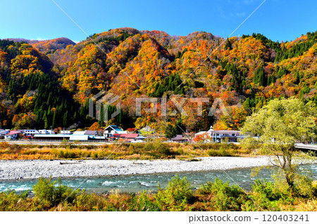 俯瞰中央橋/姬川地區的陽光小谷（長野縣小谷村） [2024.11] 120403241