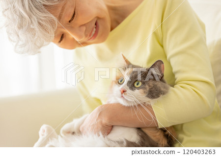 拿著貓的日本資深婦女 120403263