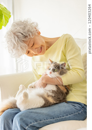 Senior Japanese woman holding a cat Senior Japanese woman holding a cat 120403264