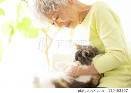 Senior Japanese woman holding a cat 120403267