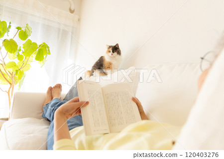 Living with a cat: A cat walking on a woman lying on the sofa reading a book 120403276