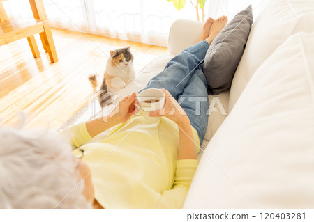 A cat who wants to play with its owner 120403281