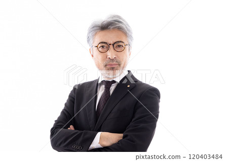 gray haired politician 120403484
