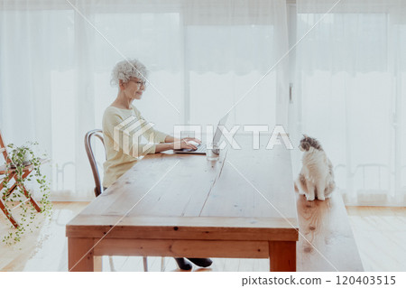 Living with cats 120403515
