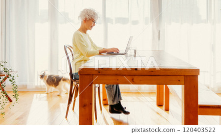 Living with cats 120403522