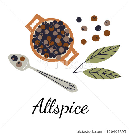 Allspice vector illustration in flat cartoon style. Wooden bowl with allspice berries, elegant spoon, and plant leaves. Perfect for culinary, botanical, or seasoning designs. Bright and modern artwork 120403895