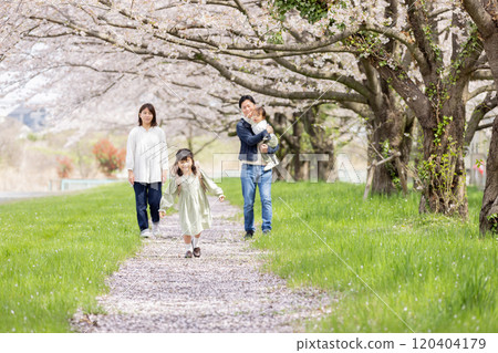 走在櫻花公園的家庭 120404179