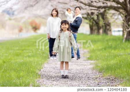 Family walking in a cherry blossom park 120404180