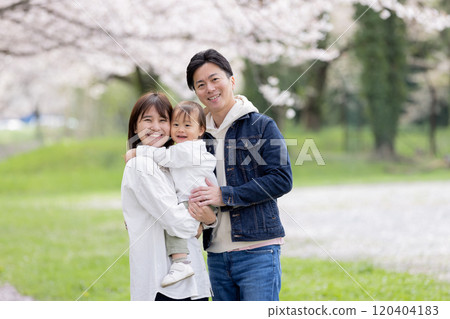 走在櫻花公園的家庭 走在櫻花公園的家庭 120404183