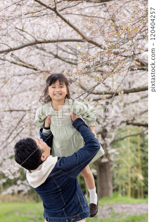 A father who fights a girl under the cherry tree 120404257