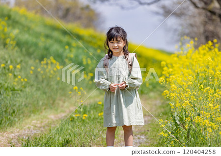 A girl walking in a field of rapeseed with a school bag on her back 120404258