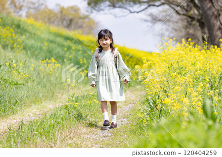A girl walking in a field of rapeseed with a school bag on her back 120404259