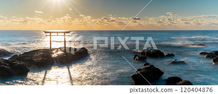 「茨城縣」大洗磯崎神社海岸的鳥居與日出 120404876
