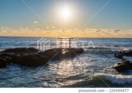 "Ibaraki Prefecture" Torii gate and sunrise on the coast of Oarai Isosaki Shrine 120404877