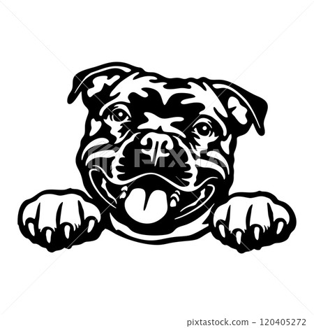 American Pit Bull Dog - Peeking Dog Breed - Pet Dog Vector Portrait, Dog Silhouette Stencil American Pit Bull Dog - Peeking Dog Breed - Pet Dog Vector Portrait, Dog Silhouette Stencil 120405272