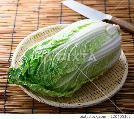 漏勺中的新鮮大白菜 120405302