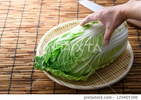 漏勺中的新鮮大白菜 120405306