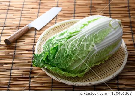 漏勺中的新鮮大白菜 120405308