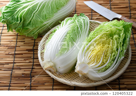 漏勺中的新鮮大白菜 120405322