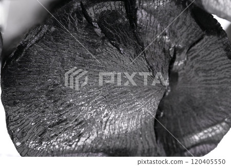 Fracture surface of charcoal (binchotan) [background material] 120405550