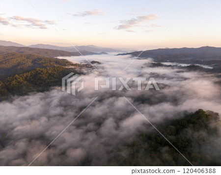 Aerial view morning mist and trees on a mountain in Asia 120406388