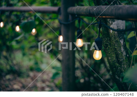 Lights on the promenade 120407148