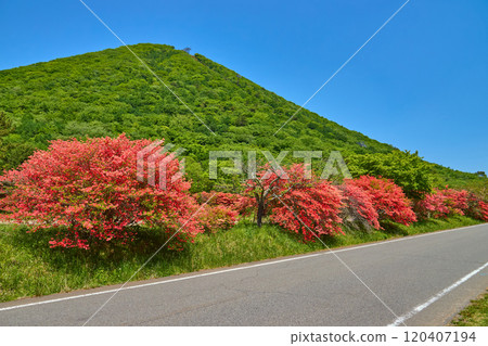 Azaleas and Haruna Fuji seen from near Haruna Park in Takasaki City, Gunma Prefecture in spring Azaleas and Haruna Fuji seen from near Haruna Park in Takasaki City, Gunma Prefecture in spring 120407194
