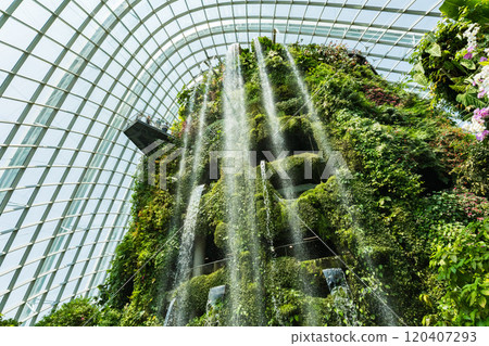 Cloud Forest, a botanical garden in Singapore Cloud Forest, a botanical garden in Singapore 120407293
