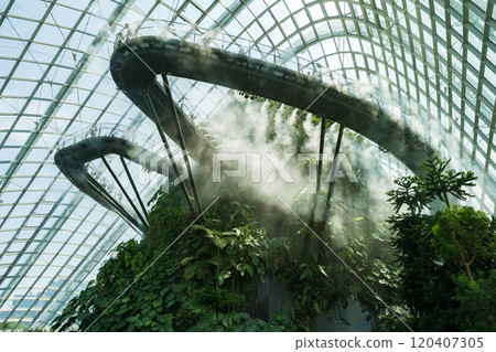 Cloud Forest, a botanical garden in Singapore Cloud Forest, a botanical garden in Singapore 120407305