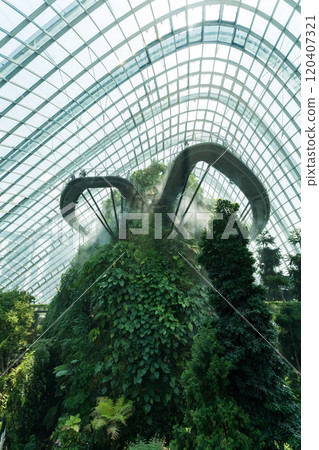 Cloud Forest, a botanical garden in Singapore 120407321