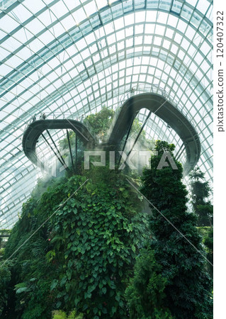Cloud Forest, a botanical garden in Singapore 120407322