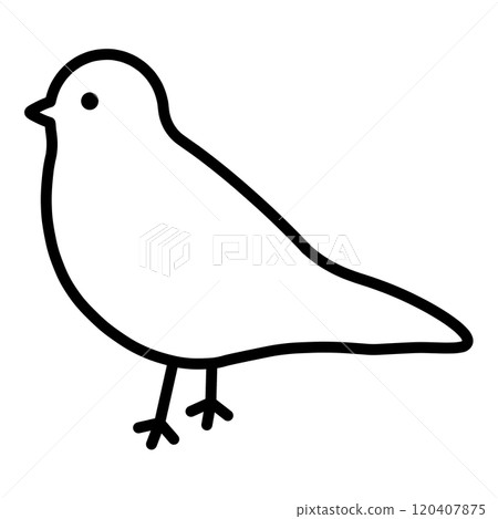 爪哇禾雀 120407875