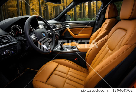 car interior with cushion seats 120408702