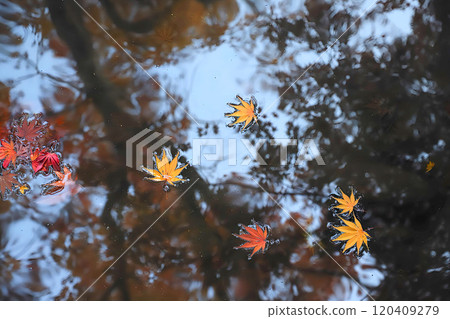 山梨縣:惠林寺的秋葉 山梨縣:惠林寺的秋葉 120409279