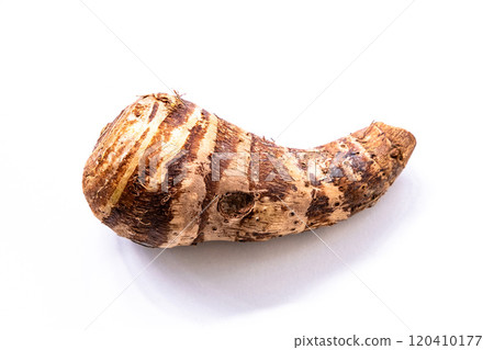 Kyoto vegetable shrimp potato 120410177