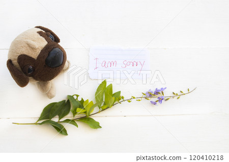 i am sorry message card handwriting with dog toy, purple flowers  120410218