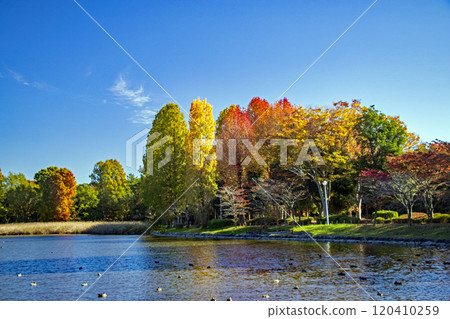 筑波市土峰公園風景 120410259