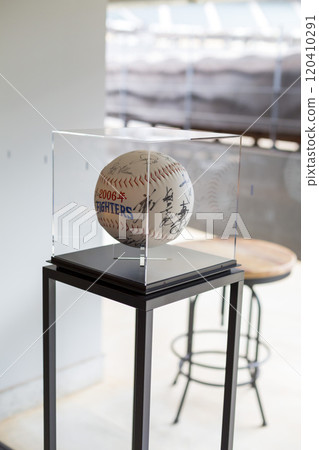 北海道斯康菲爾德簽名球 120410291