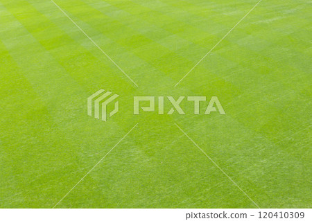 Background material with green grass Escon Field Hokkaido Background material with green grass Escon Field Hokkaido 120410309