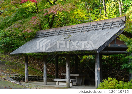 彌彥公園紅葉谷,被秋葉包圍的涼亭式休息區 彌彥公園紅葉谷,被秋葉包圍的涼亭式休息區 120410715