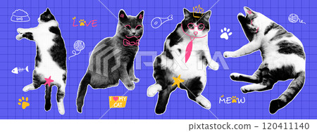 Modern collage set with funny cats and doodle elements. Retro y2k aesthetic. Modern collage set with funny cats and doodle elements. Retro y2k aesthetic. 120411140