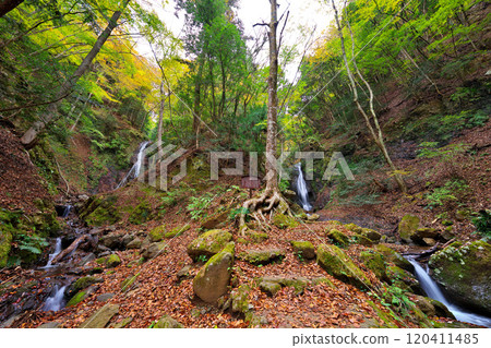 多西河 (Doshi River) 沿岸的 Ontaki 和 Medaki 瀑布 120411485