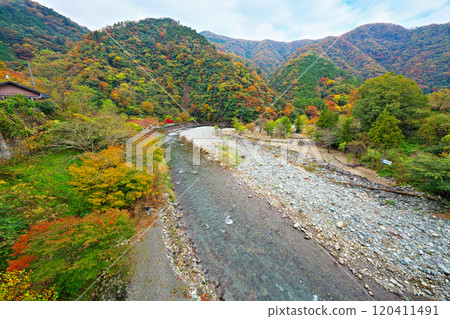 道志川和兩國橋的秋葉 120411491