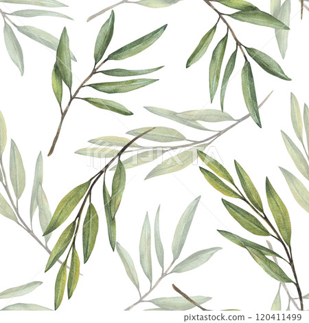 Watercolor Olive tree branch, fruitless with green leaves seamless pattern. Botanical floral clipart. Hand drawn greenery foliage realistic illustration wallpaper, fabric Isolated from background Watercolor Olive tree branch, fruitless with green leaves seamless pattern. Botanical floral clipart. Hand drawn greenery foliage realistic illustration wallpaper, fabric Isolated from background 120411499