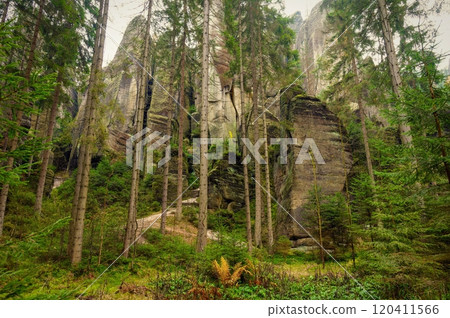 Adrspach - rock town. Nature park - Czech Republic. Sandstone big stones and rocks in the forest. Autumn landscape. 120411566