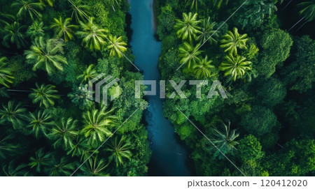 Sunlight Filtering Over a Flowing River in the Jungle Sunlight Filtering Over a Flowing River in the Jungle 120412020