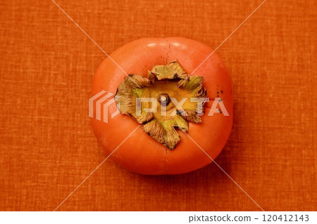 柿子是秋季的水果。 柿子是秋季的水果。 120412143