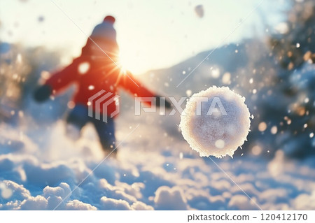 Snowball Being Thrown on a Bright Winter Day Snowball Being Thrown on a Bright Winter Day 120412170