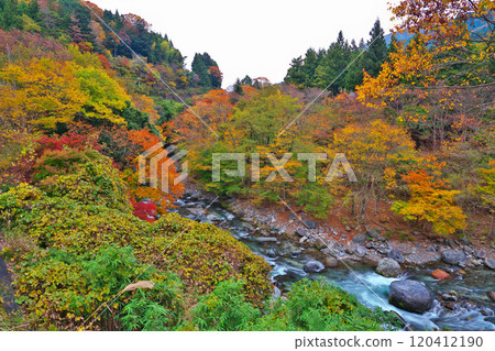 多西河，水源森林的秋葉 120412190
