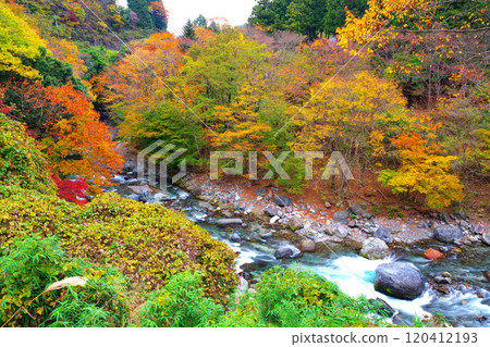 多西河，水源森林的秋葉 120412193